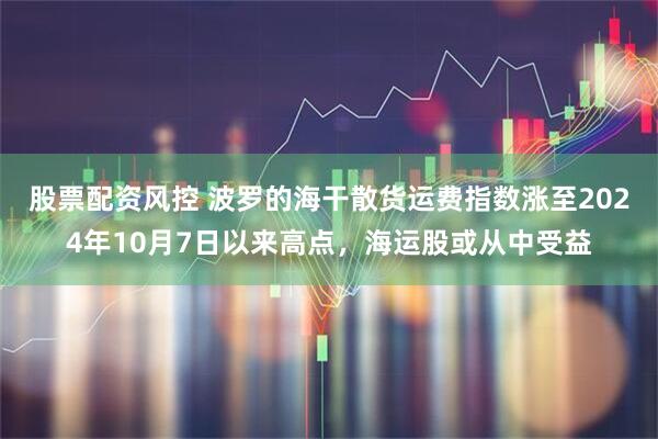股票配资风控 波罗的海干散货运费指数涨至2024年10月7日以来高点，海运股或从中受益