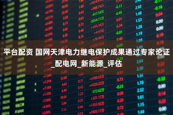 平台配资 国网天津电力继电保护成果通过专家论证_配电网_新能源_评估